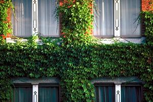 フロアコーティングを専門に行っている