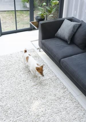 【完全ガイド】インスペクションで失敗しない!住宅品質と安全性を守るためのポイント