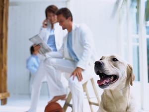 注文住宅で特別なこだわりを持つ工務店が大分に